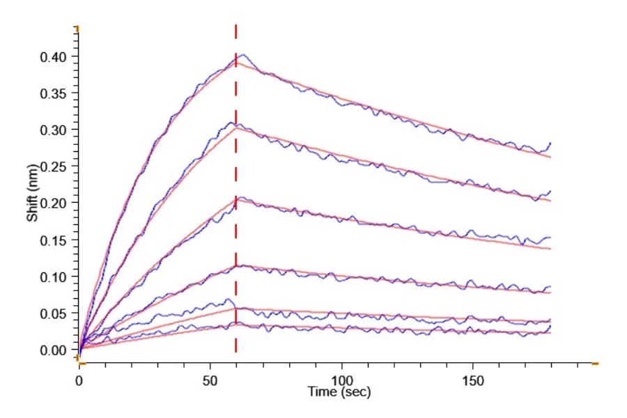 BLI Data