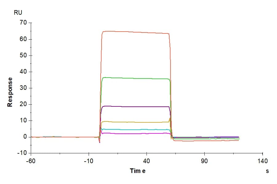 SPR Data