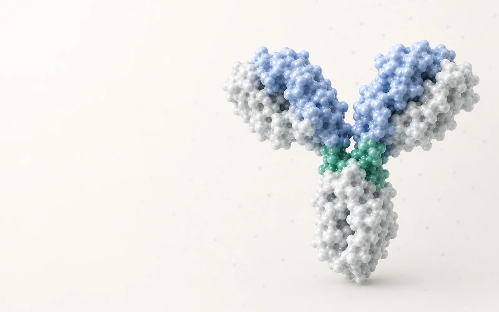 Scientific visualization of a protein and antibody molecular complex