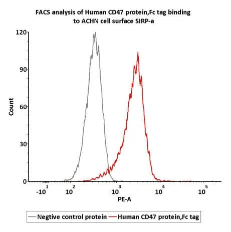 Flow cytometry histogram showing CD47 binding to SIRP alpha on ACHN cells