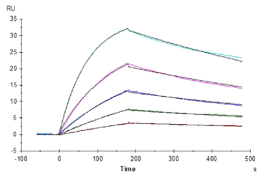 SPR Data