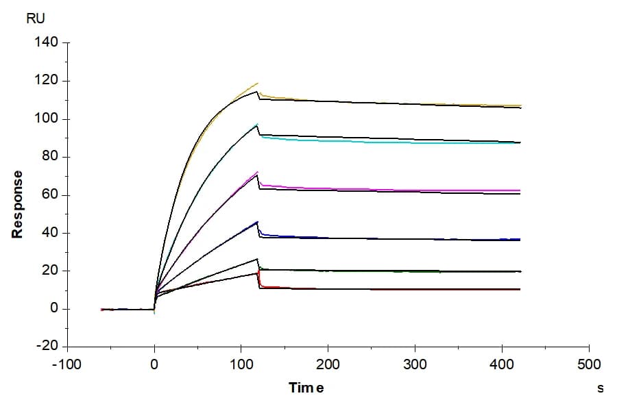 SPR Data