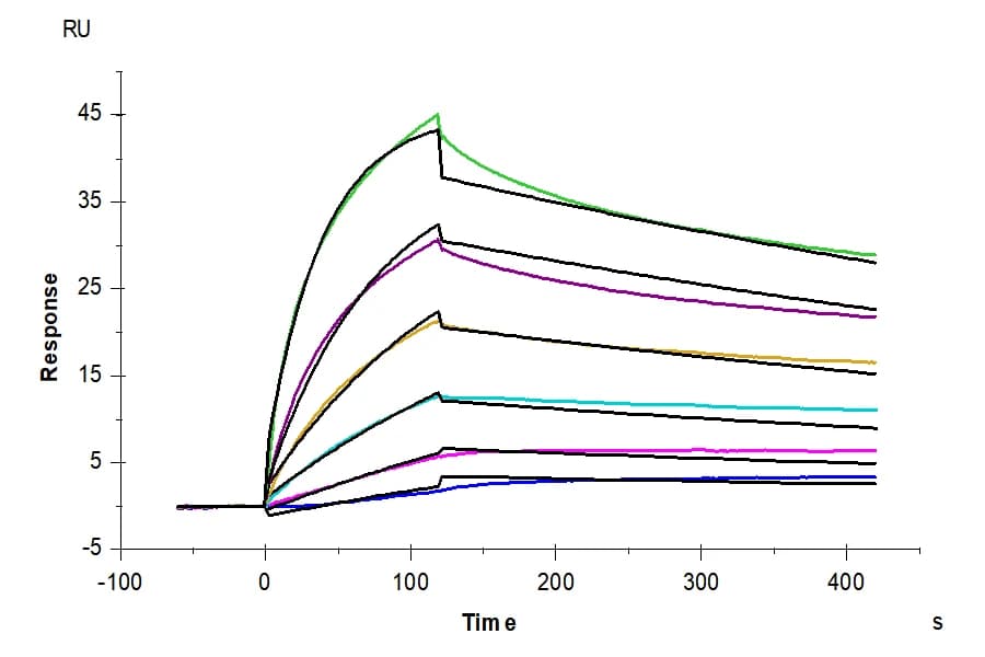 SPR Data