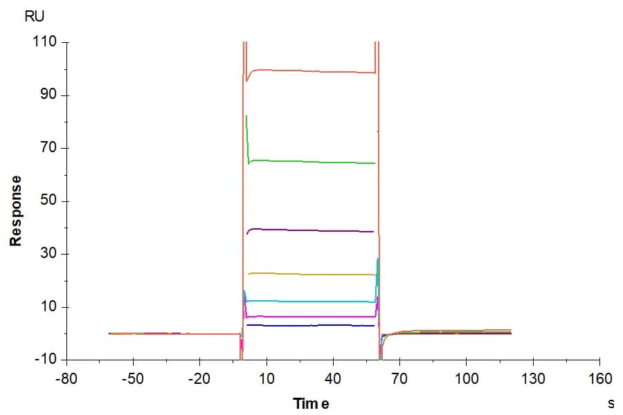 SPR Data