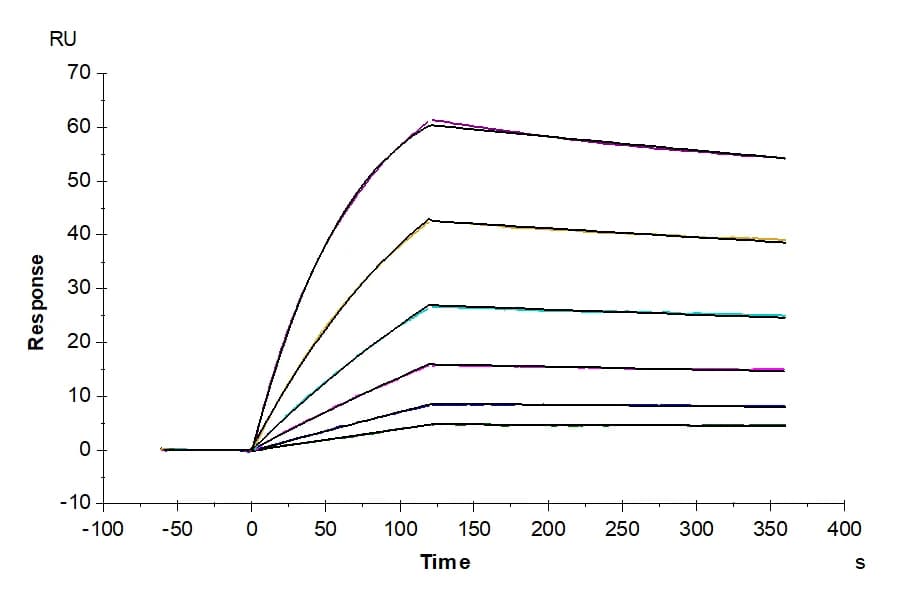 SPR Data