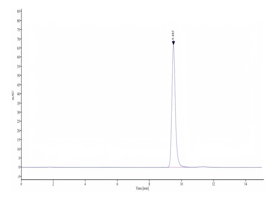 SEC-HPLC Data