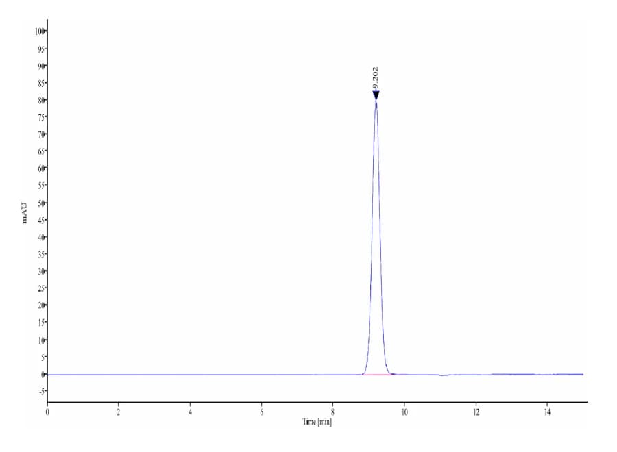 SEC-HPLC Data