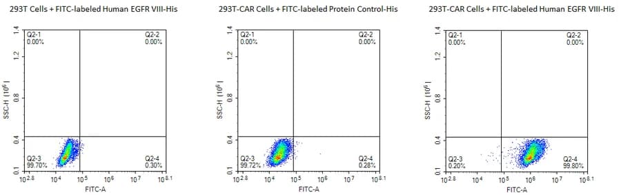 Flow Cytometry Data