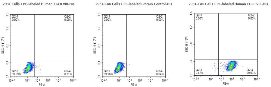 Flow Cytometry Data