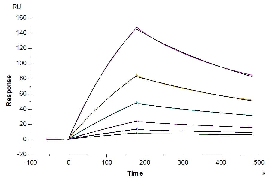 SPR Data
