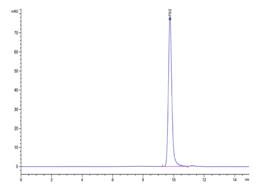 SEC-HPLC Data