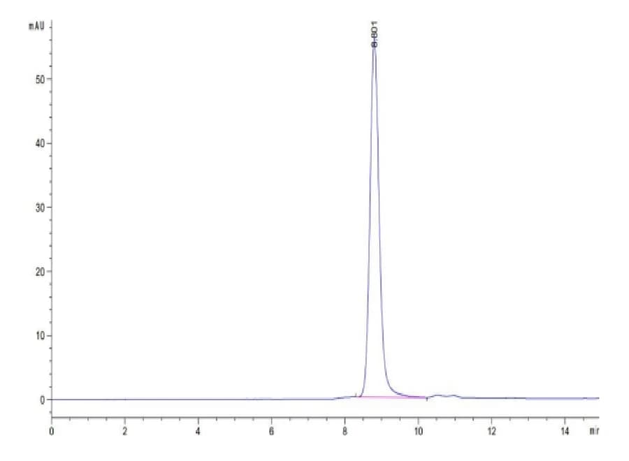 SEC-HPLC Data