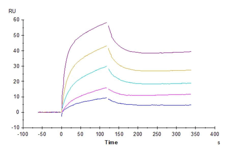 SPR Data