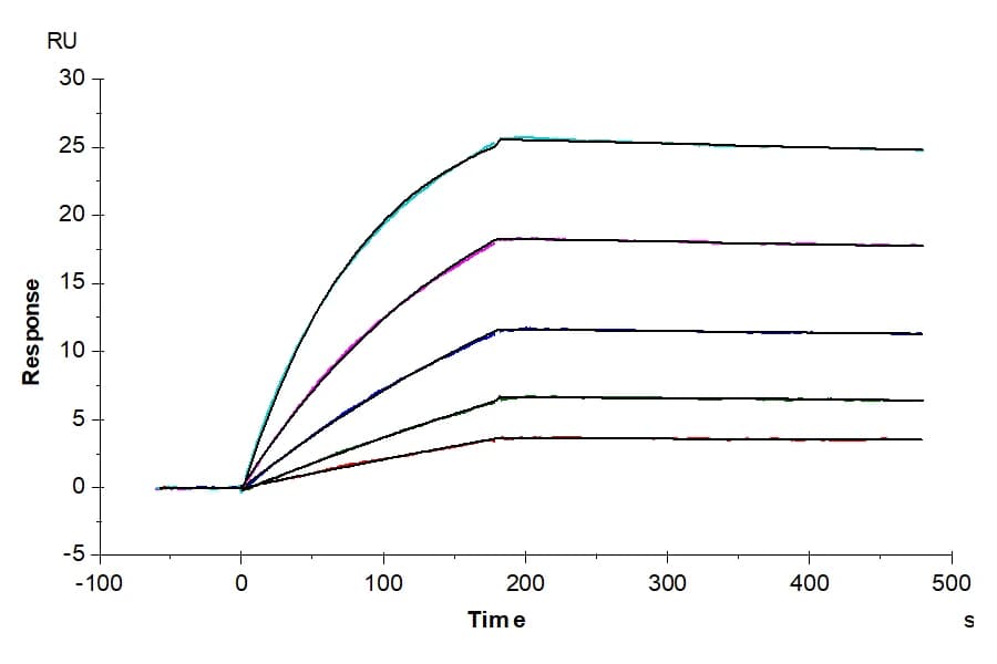 SPR Data
