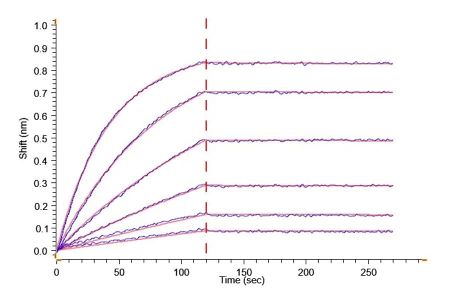 BLI Data