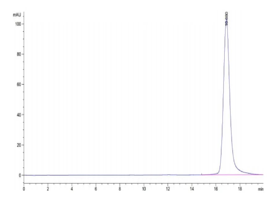 SEC-HPLC Data