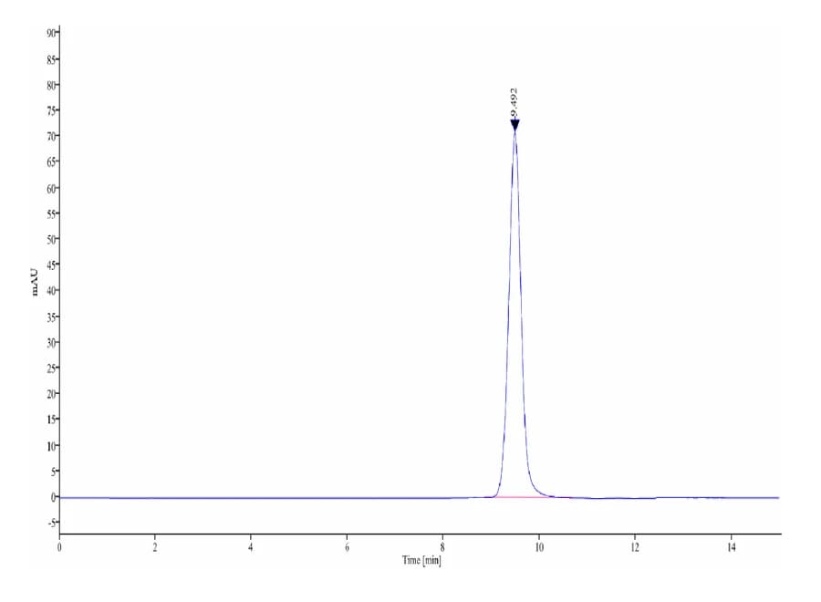 SEC-HPLC Data