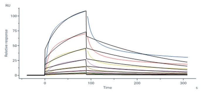 生物素标记 CD20 与 Rituximab 的 SPR 结合曲线