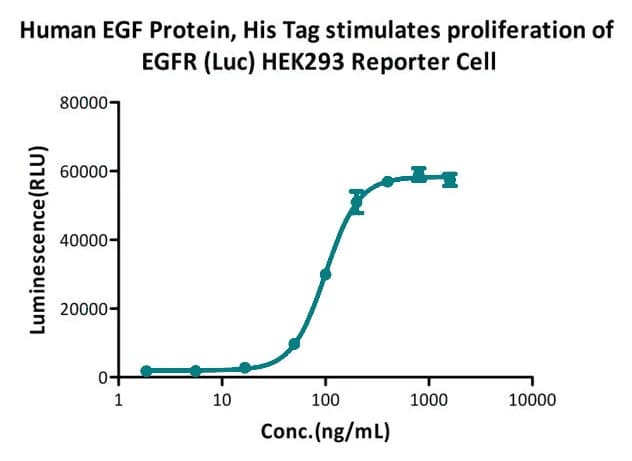 EGF dose-response curve in an EGFR luciferase reporter cell assay