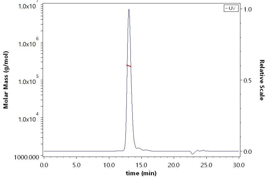 SEC-MALS profile of human EGFR Fc fusion protein